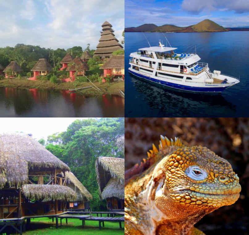 Galapagos Lastminutes & Jungle Tours