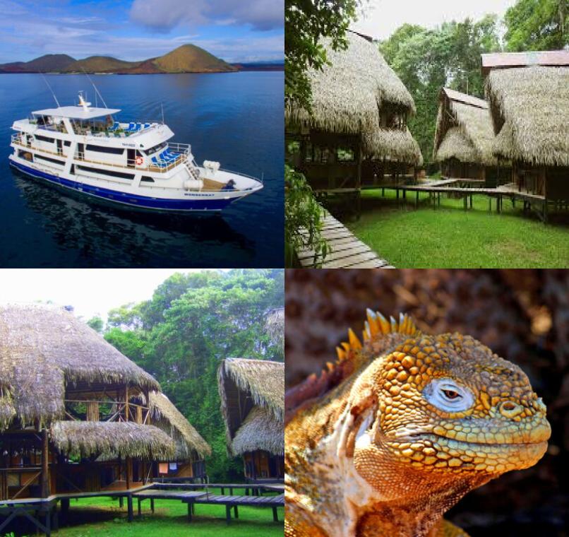 Galapagos Lastminutes & Jungle Tours