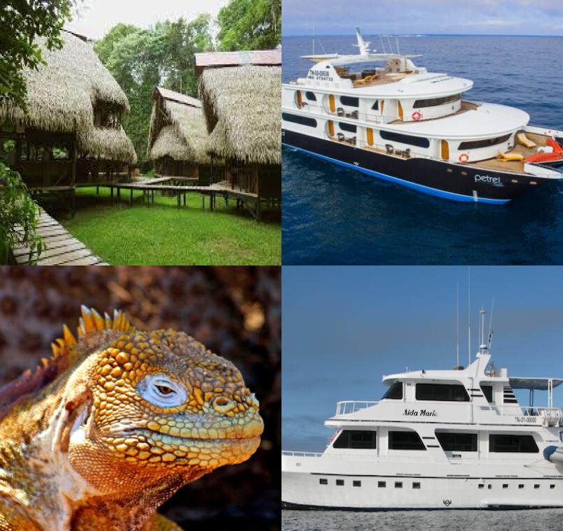 Galapagos Lastminutes & Jungle Tours