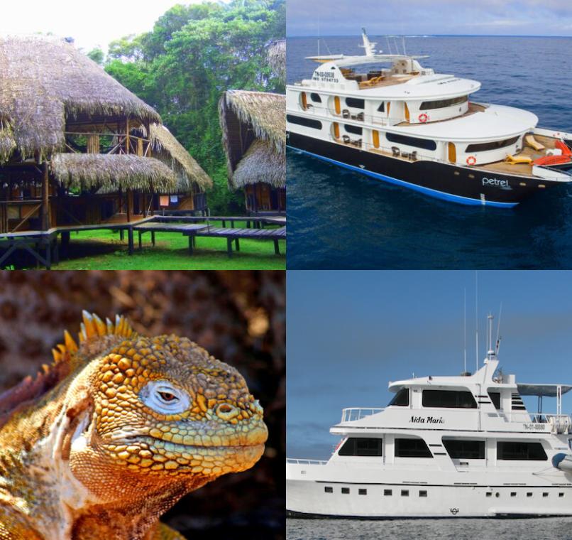 Galapagos Lastminutes & Jungle Tours