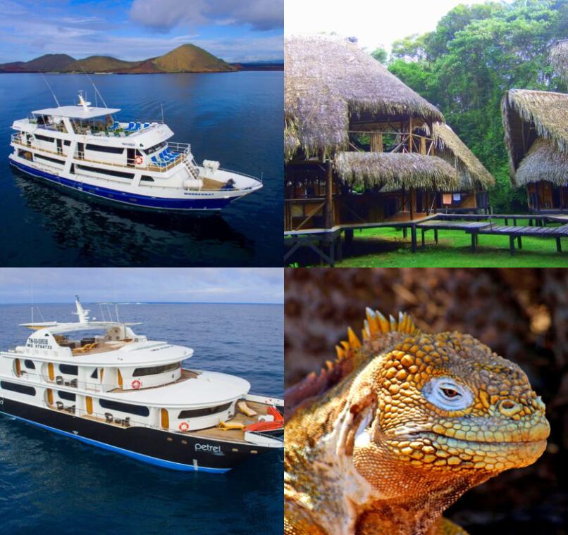 Galapagos Lastminutes & Jungle Tours