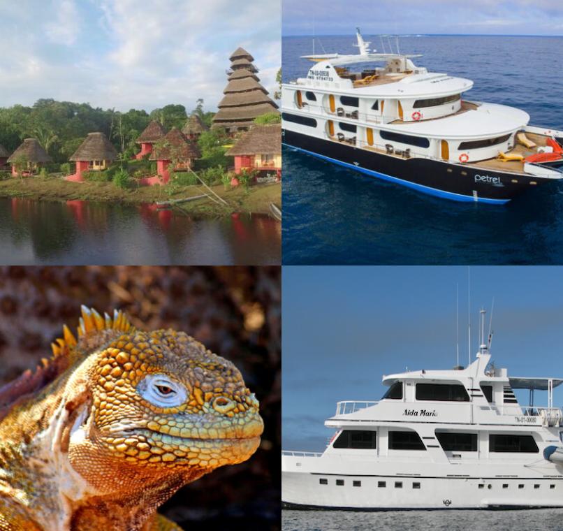 Galapagos Lastminutes & Jungle Tours